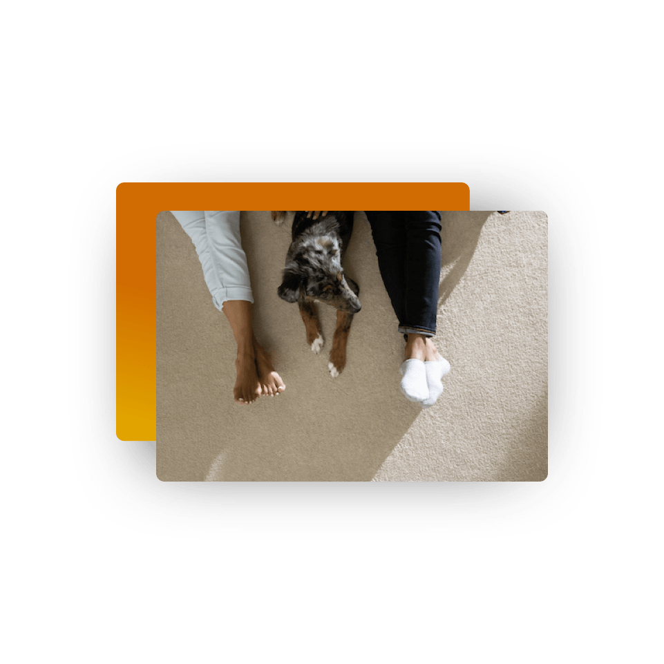 Two people sitting on a beige carpet with a dog in between them