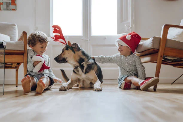 Boys wearing Santa hats playing with their dog wearing a reindeer hat.