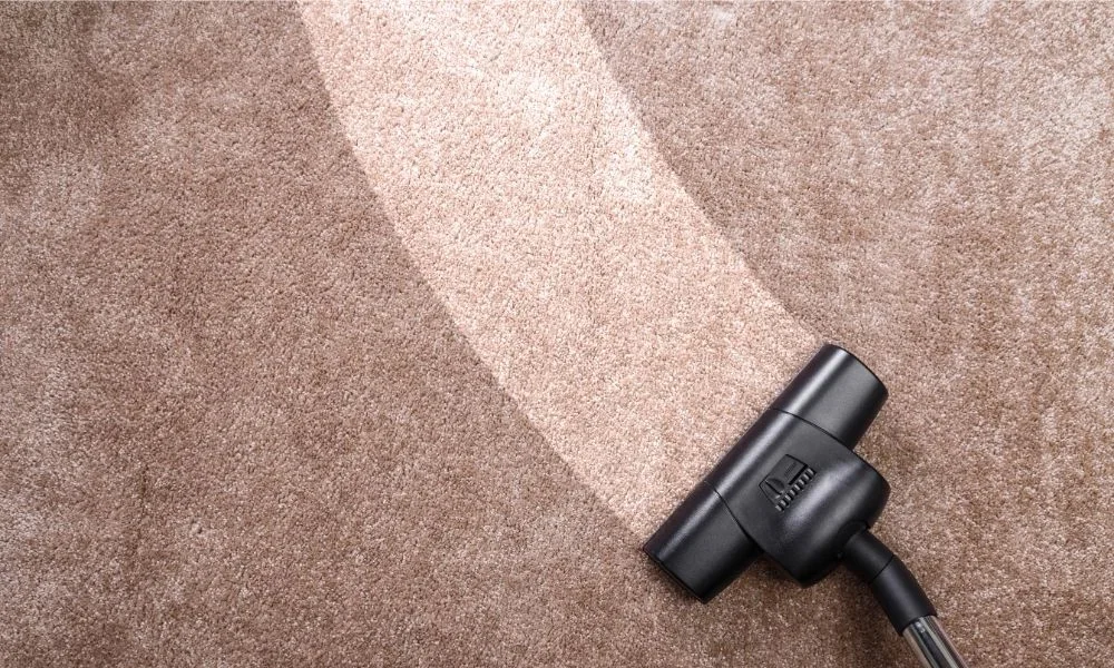 Vacuum head on carpet