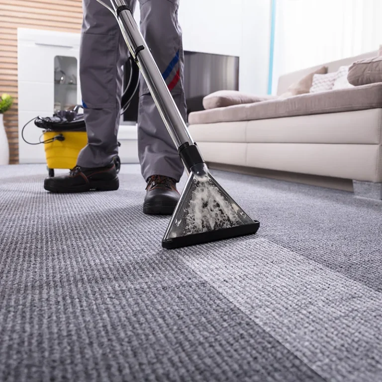 Professional carpet cleaning