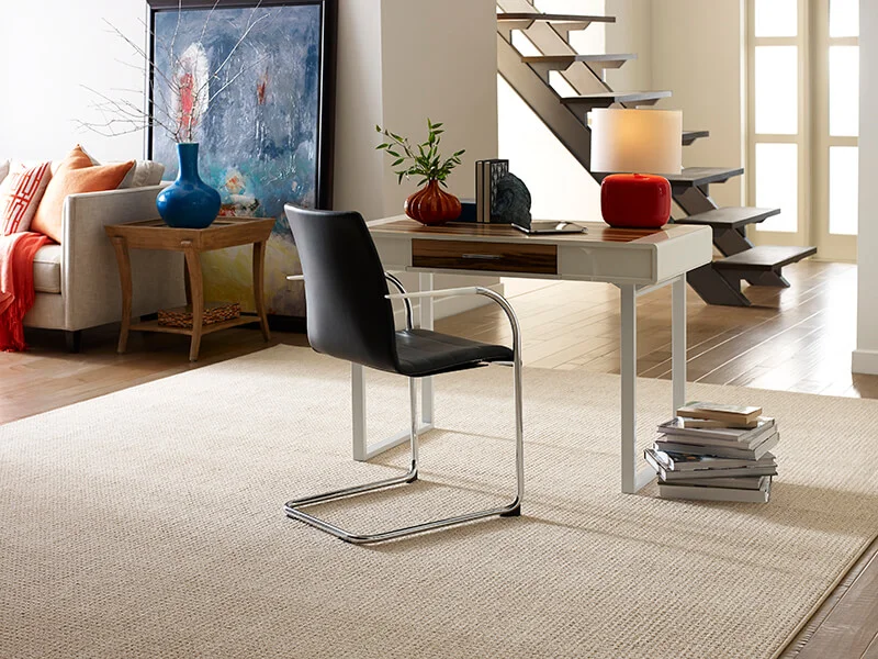 Area rug in open concept room