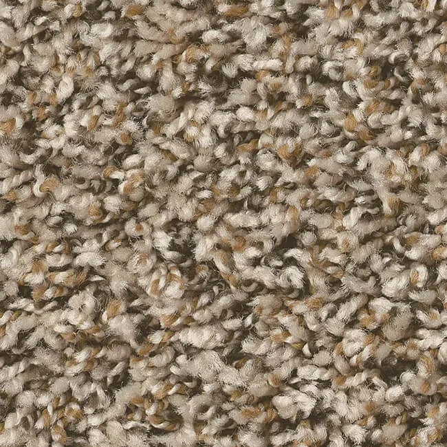 Shaw Floors Breakaway berber carpet