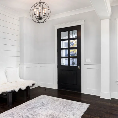 Area rug on dark hardwood floors in the entryway