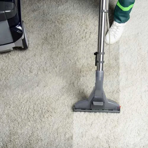 Person vacuuming carpet